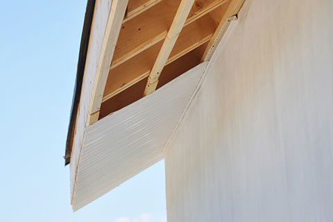 Fascia and Soffit