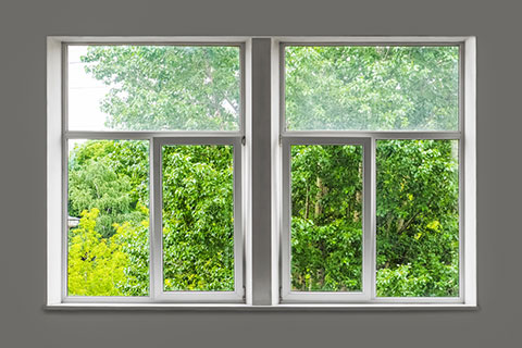 Windows